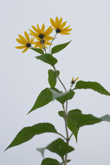 どこまでも-3436