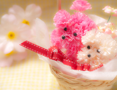 クンクン･:*:･ﾟ'★,｡･:*:♪･ﾟ