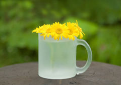 森のカフェ-2333