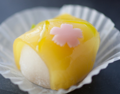 和菓子-8564