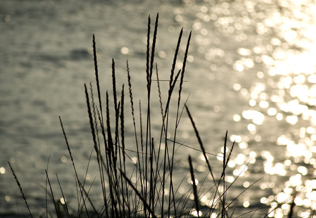 ずーっと一緒さ〜　2007年自転車の旅岩見浜-2812