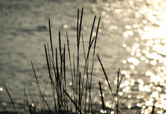 ずーっと一緒さ〜　2007年自転車の旅岩見浜-2812