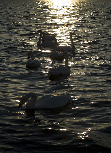 屈斜路湖砂湯にて