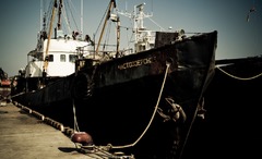 花咲-ロシア漁船-3703