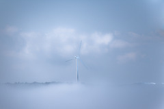 霧の海-花咲1054