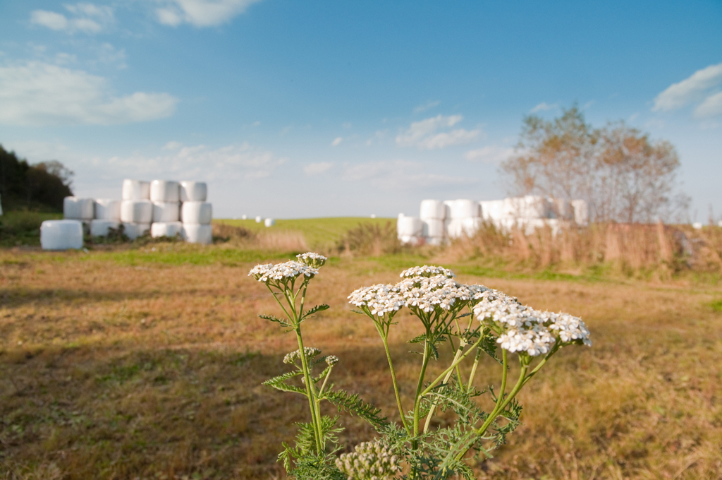 ファームながの-2953