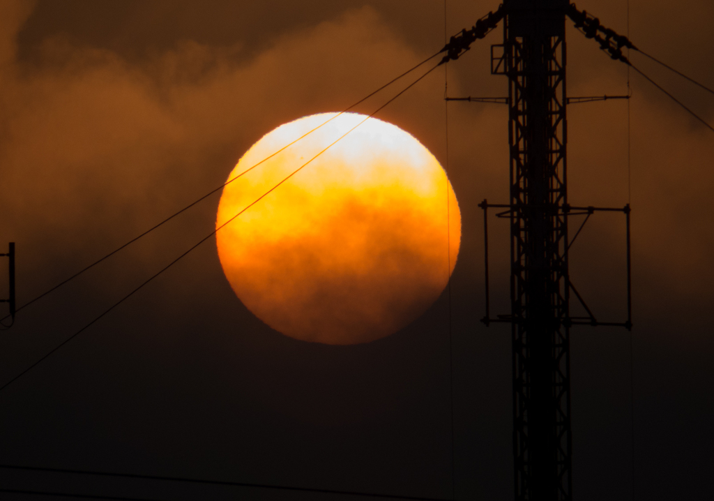 RED SUN-1010