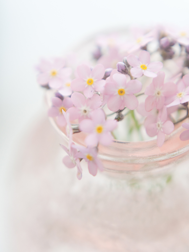 pure-pink