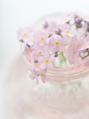 pure-pink