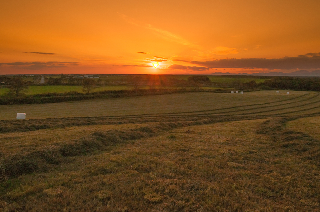 野付　ファームながの夕景-3132