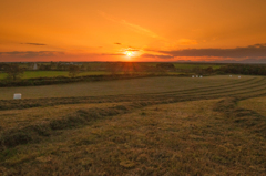 野付　ファームながの夕景-3132