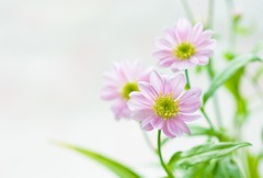 君の名は…-9096