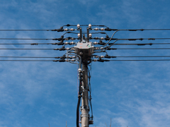 おおおおぉおお〜〜〜とおさんぞ！