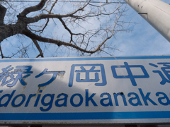 みどり〜♪-1010829