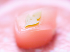 和生-9326 和生-9326