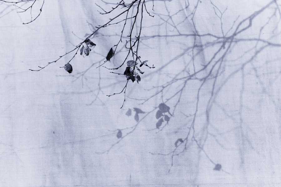 季節の足音-8009