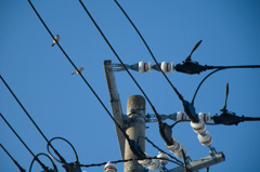 ある朝-ここ暖かいんだよ-1855