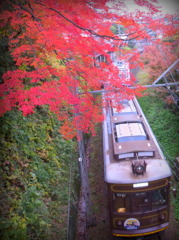 嵐電もみじのトンネル