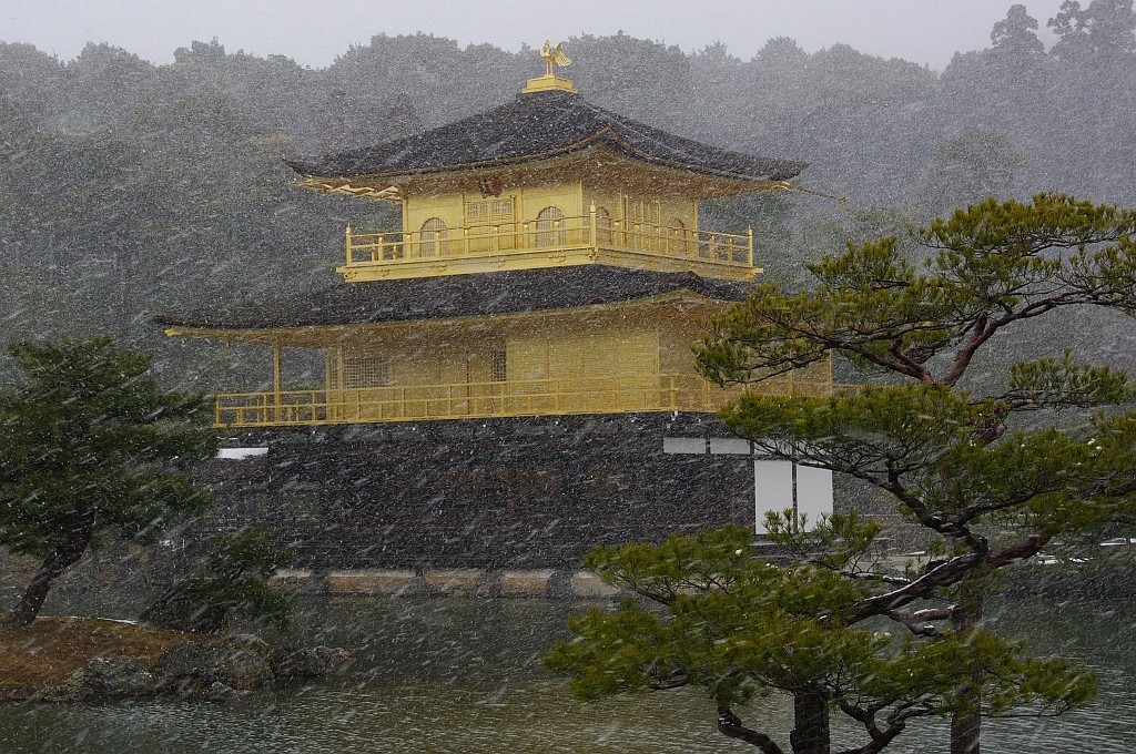 金閣寺吹雪