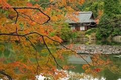 龍安寺・鏡容池