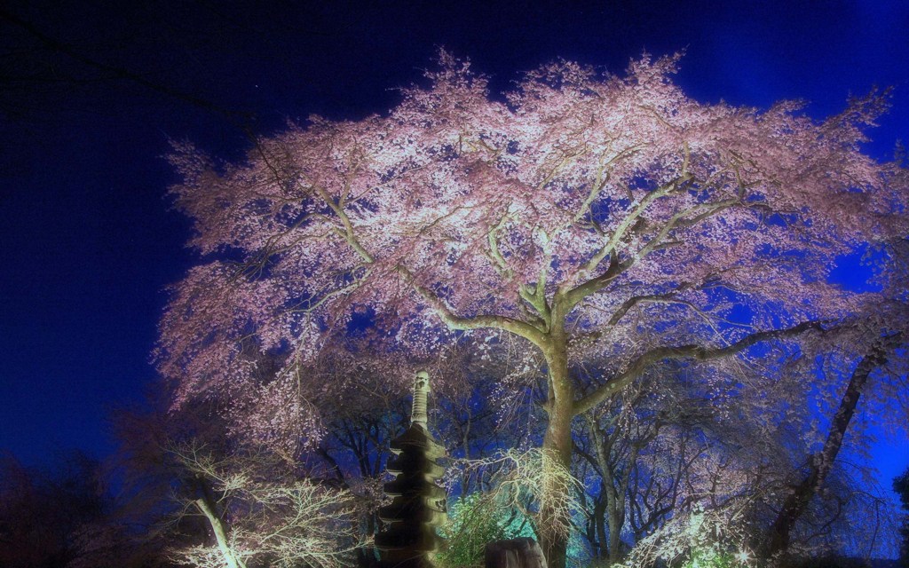 「花明り」風