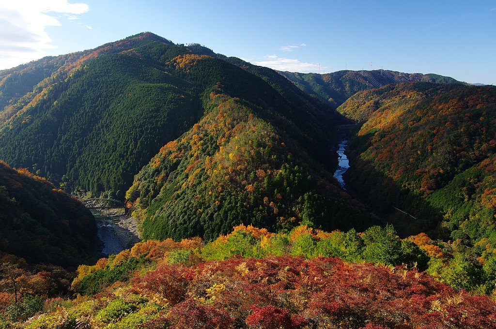 保津峡朝