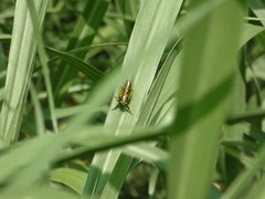 RIMG5154
