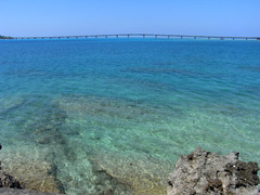 RIMG4696