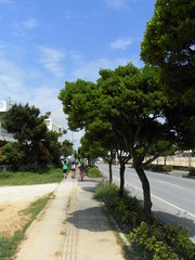 RIMG0807