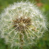 RIMG0542