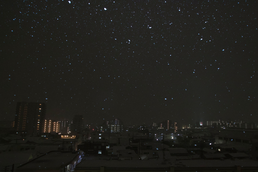 星降る夜...？