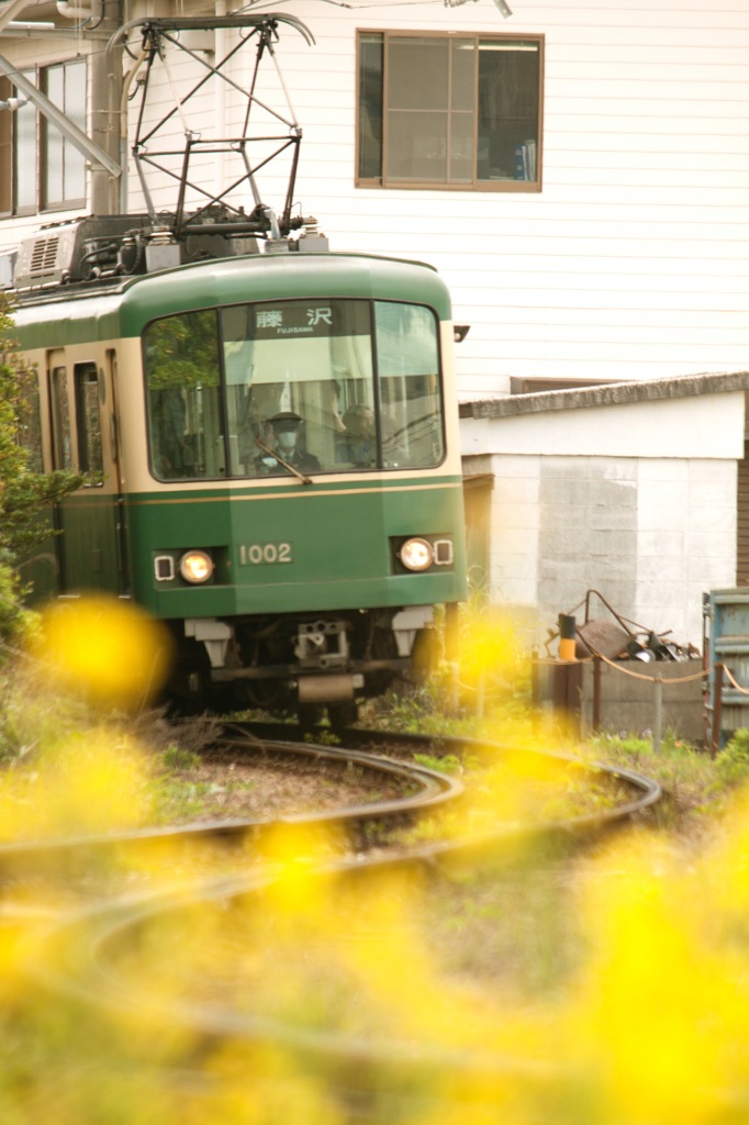 春色電車