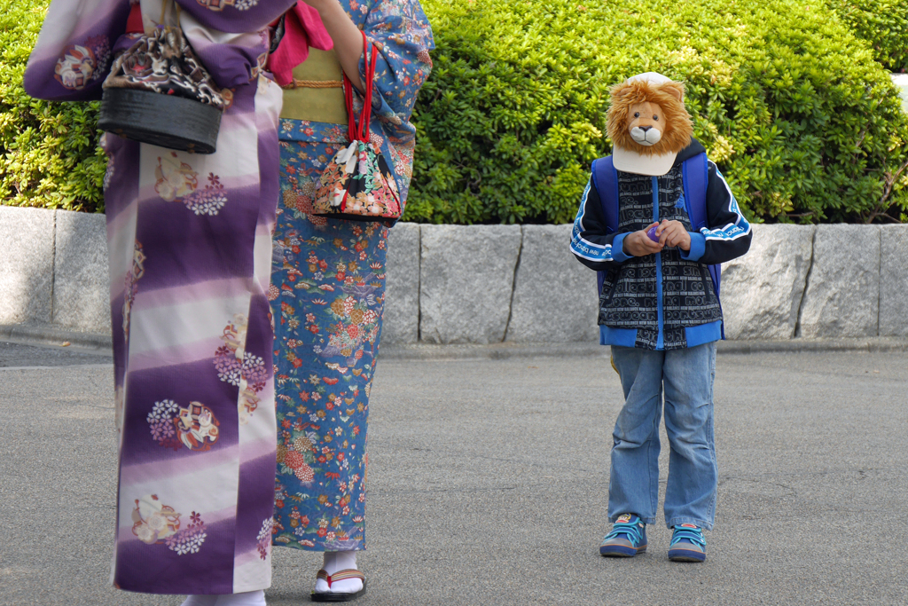 Lion_boy