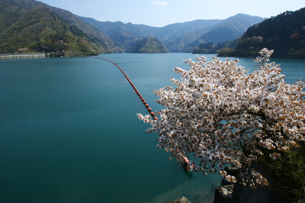 奥多摩湖