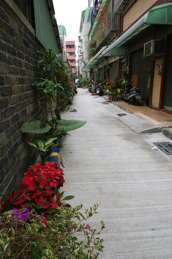 鹽堤巷路