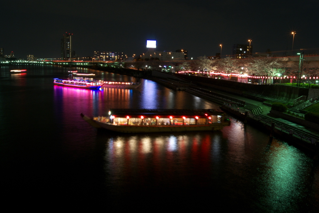 宴の夜＠桜橋