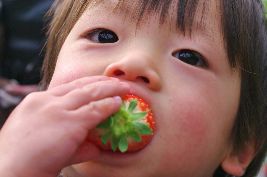 春の醍醐味！