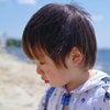 ひだまり