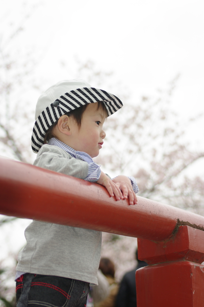 桜舞う橋の上で・・・