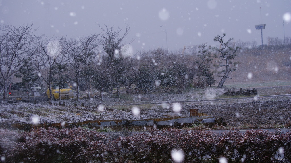 雪