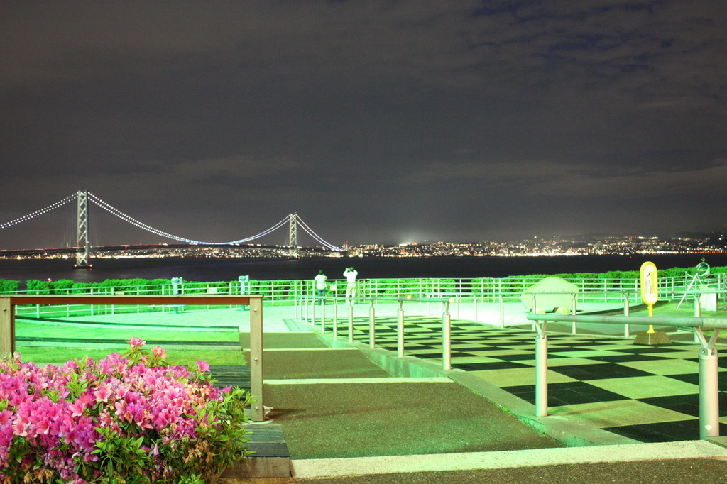 淡路島SAの夜景