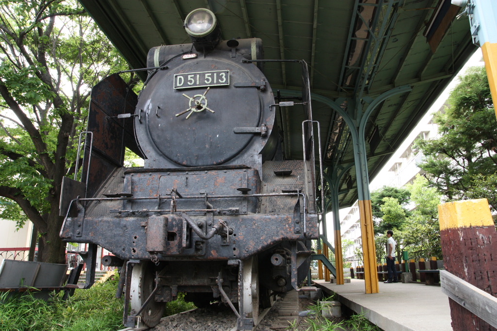 D51