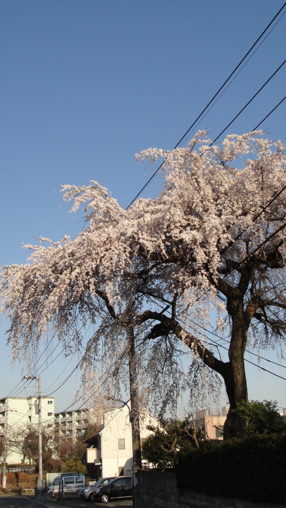 DSC00143