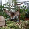 神戸花鳥園　バードショーにて