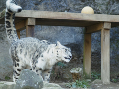 ぬけげすごいね。