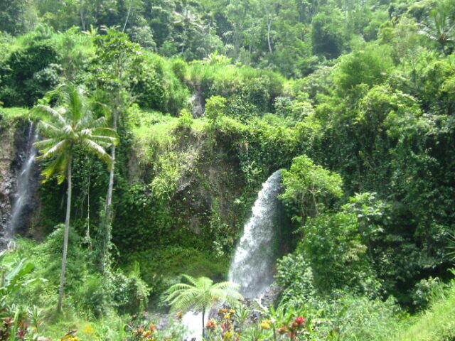 2007-Bali 089