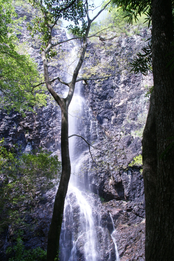 木陰の滝
