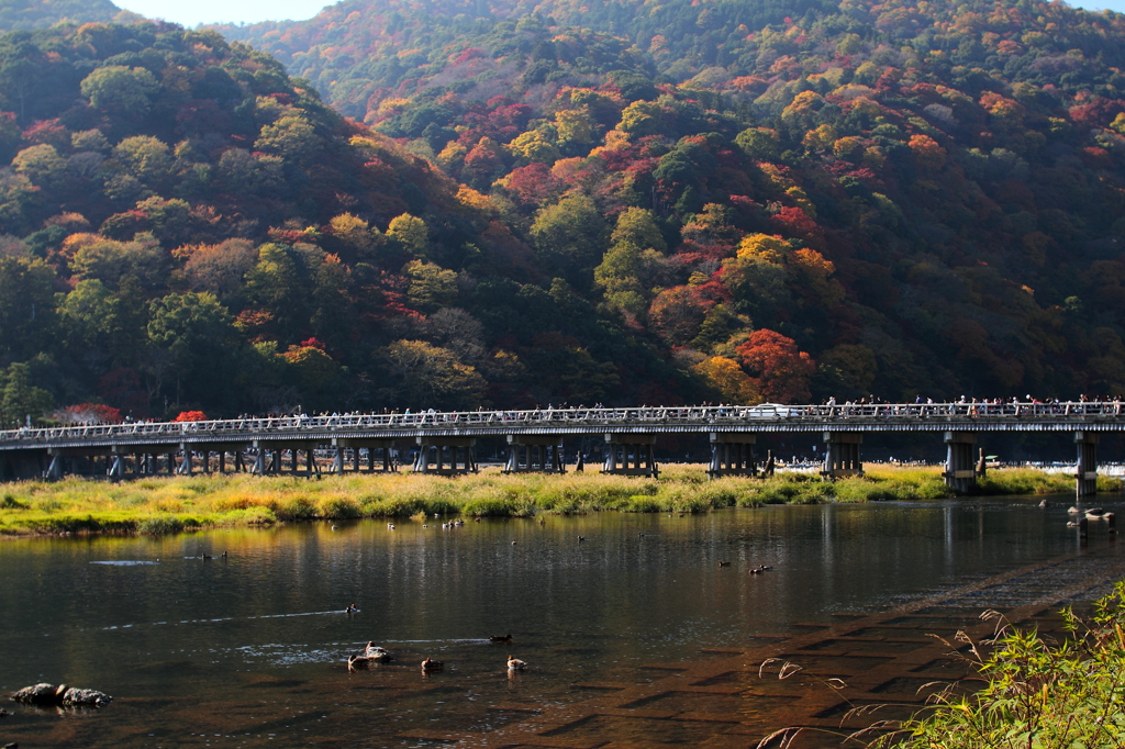 渡月橋