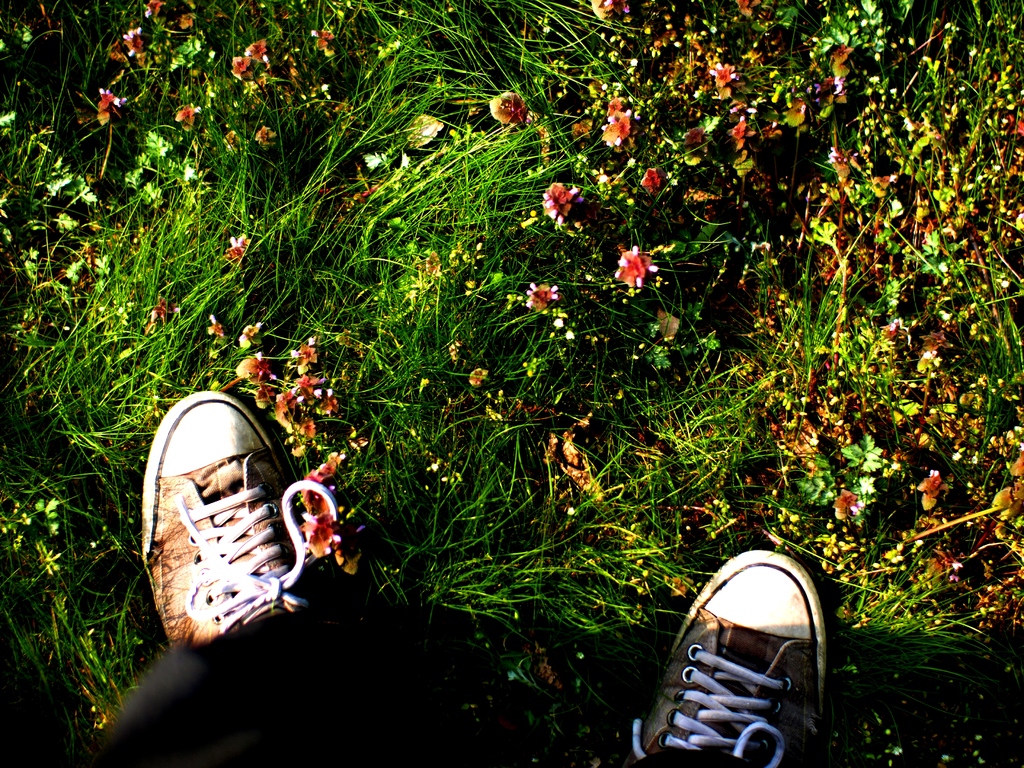 walk on the green