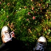 walk on the green
